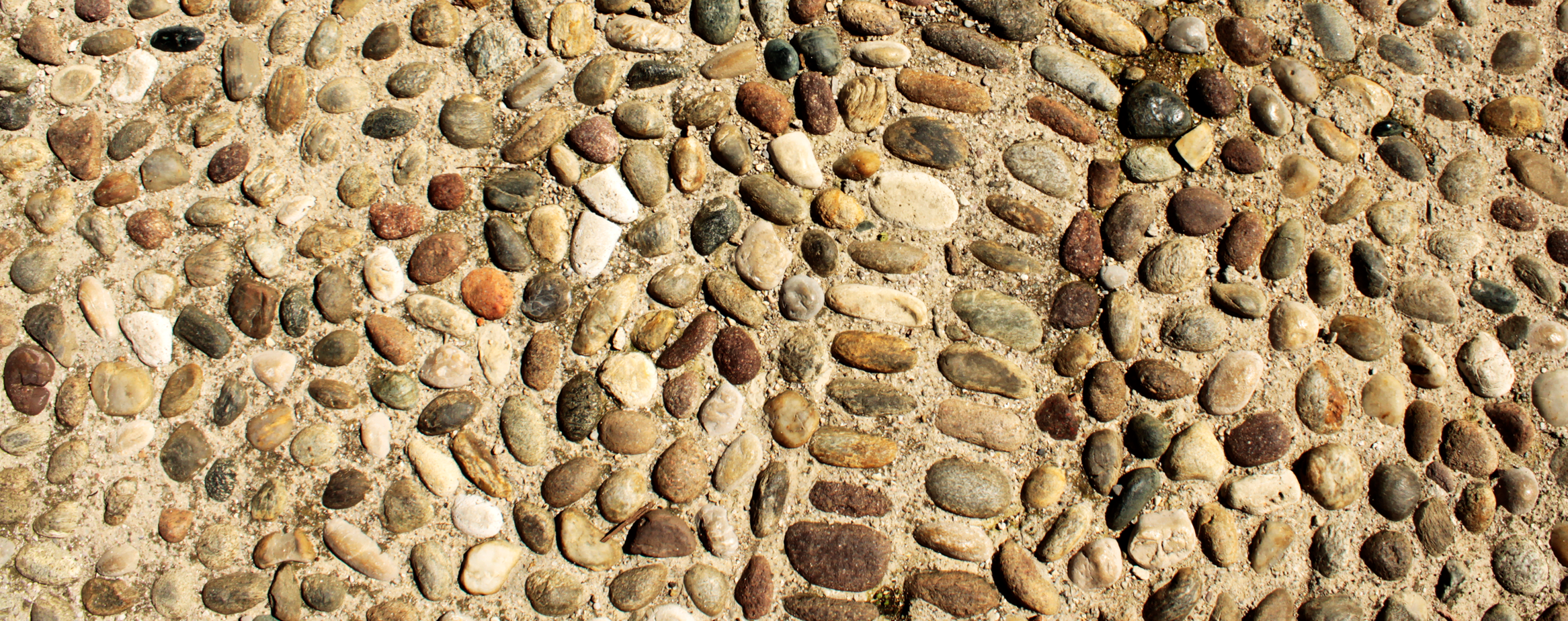 Header Bild